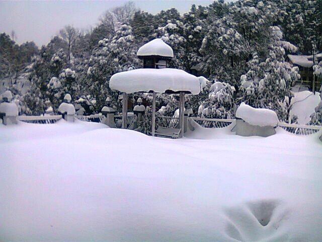 Hotel Dalhousie Heights Dış mekan fotoğraf